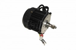 MOTOR-ASSISTANT 1000W